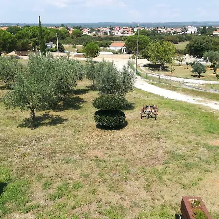Celega Apartment